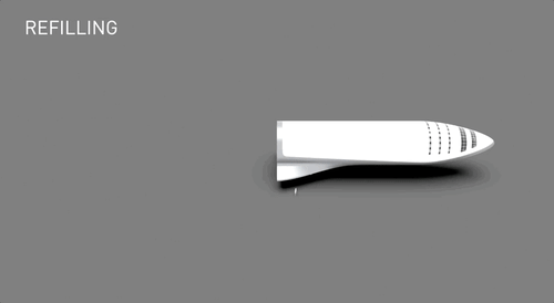 ShorttermLeanAmericanwigeon-size_restricted.gif