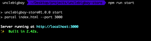 starting your react app server