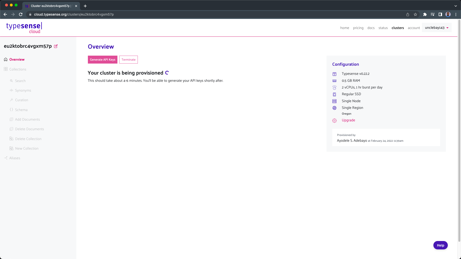 wait for the typesense cluster to be generated